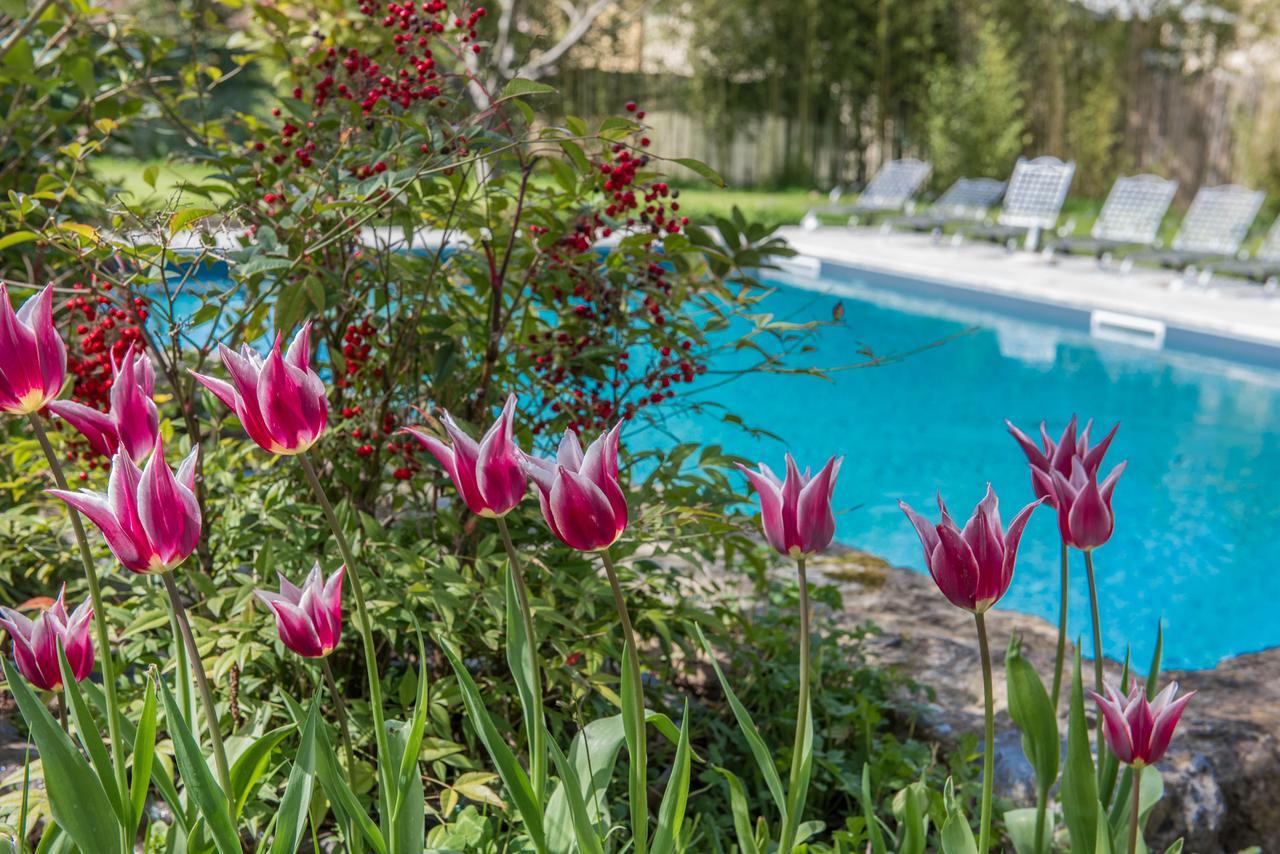 Relais Corte Rodeschi Камайоре Екстериор снимка